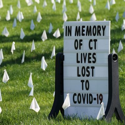 New Cases Plateau For Now As States Chart Their Own Course