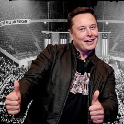 Episode 69 - Elon Musk's War on Woke Monkeys