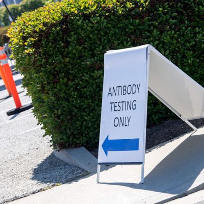 Antibodies And Immunity; Why Even Health Care Workers Are Losing Jobs
