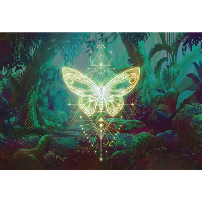 The Path of the Soul 🕊️♾️🌸