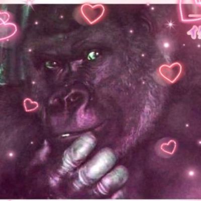Bonus Episode #34 Preview - Shabani, the metrosexual gorilla