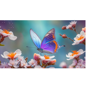 Butterfly and Transformation ~