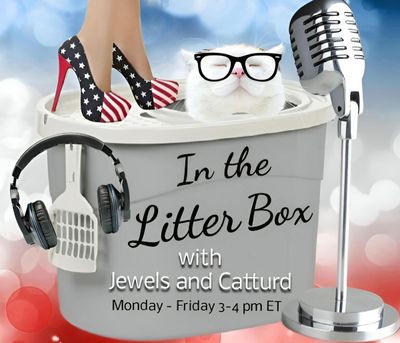 SUCK IT UP! | In the Litter Box w/ Jewels & Catturd – Ep. 691– 11/14/2024
