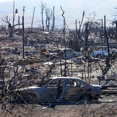 The Dangers of Grass Fires