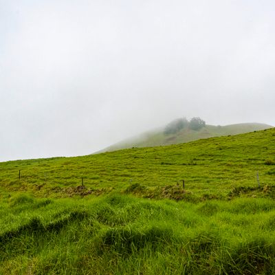 A Billionaire's Land Purchases In Rural Hawaii Have Locals Worried