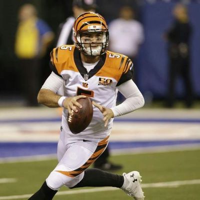 Locked on Bengals - 2/23/18 AJ McCarron on free agency, Dalton and more