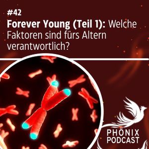 FOREVER YOUNG (Teil 1): Welche Faktoren sind fürs Altern verantwortlich? #42