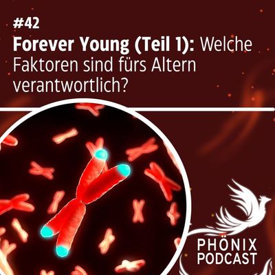 FOREVER YOUNG (Teil 1): Welche Faktoren sind fürs Altern verantwortlich? #42