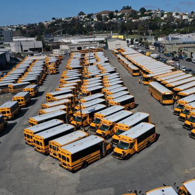 Can Schools Open Safely? What Other Countries Have Decided