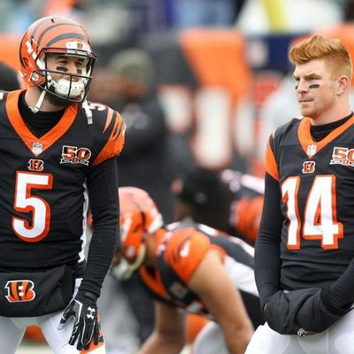 Locked on Bengals - 1/31/18 McCarron's future, Andy's value and Mike Brown