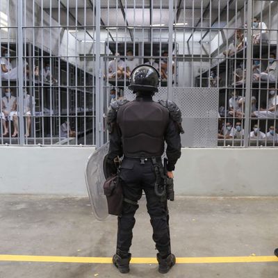 How Deportations Work