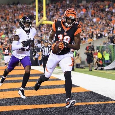 The Bengals get healthy, scouting LSU-Bama, and second-half hopes and expectations - 11/5/19