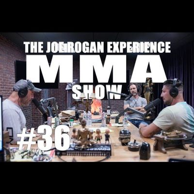JRE MMA Show #36 with Brendan Schaub & Bryan Callen