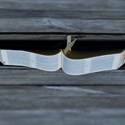 The Southern Baptist Convention & The Subordination of Scripture | OnlySubs w/ James Lindsay, Ep. 80