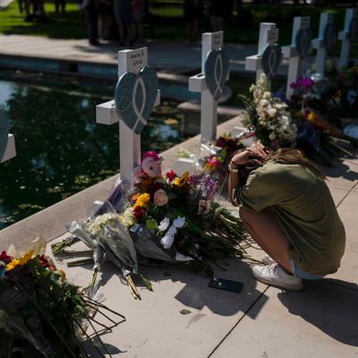Can We Stop Mass Shootings Before They Start?