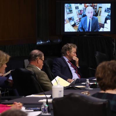 Testing, Reopening Schools, Vaccines: Fauci And Others Testify