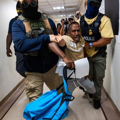 What a day in immigration court is like now