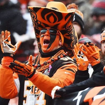 Locked On Bengals - 2/12/2019 A Win-Now Plan for the Bengals