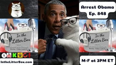 Arrest Obama | In the Litter Box w/ Jewels & Catturd – Ep. 848 – 7/24/2025