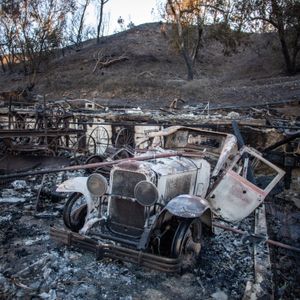 'The birds are back.' Resilience in the ruins of the Palisades fire