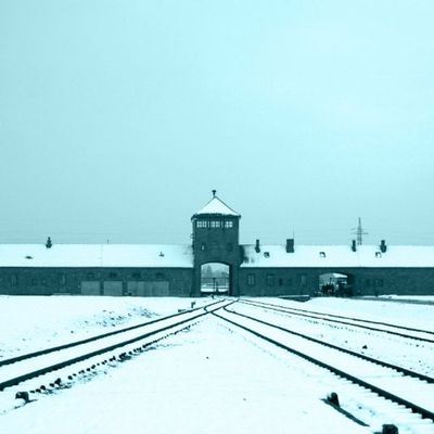 The Nazi Experiment, Vol. 5: Forty Points for the Nazi Party