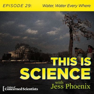 Water, Water Every Where