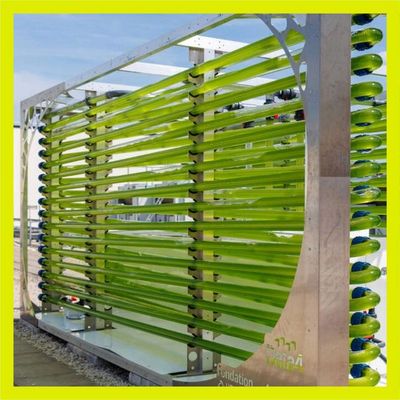 Des datacenters qui captent le CO2 avec des algues