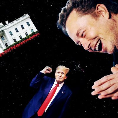 Everything You Always Wanted to Know About Elon and Trump