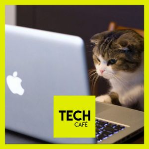 Switch « pro » & grande démission
