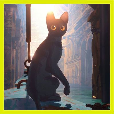 Le chat qui a du flow