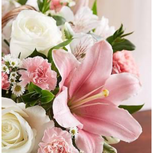Gratitude Prayers for Peace and Harmony
