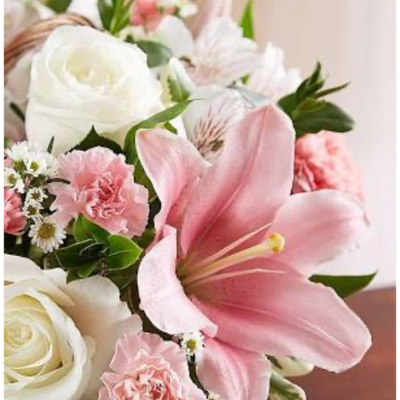 Gratitude Prayers for Peace and Harmony