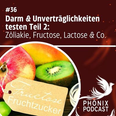 Darm & Unverträglichkeiten Tests 2: Zöliakie, Fructose, Lactose & Co #36