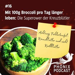Mit 100g Broccoli pro Tag länger leben: Kreuzblütler und ihre Superpower #16