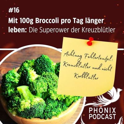 Mit 100g Broccoli pro Tag länger leben: Kreuzblütler und ihre Superpower #16
