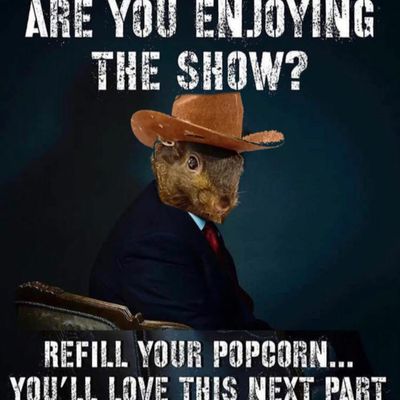 Episode 66 - No Country for Old Squirrels