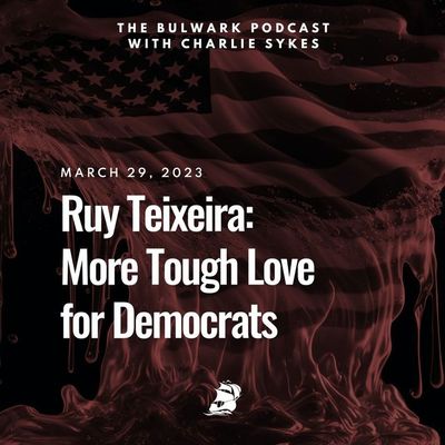 Ruy Teixeira: More Tough Love for Democrats