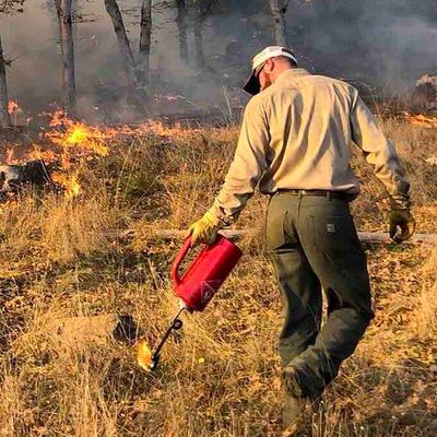 As A Destructive Fire Season Rages On, What Might Prevent The Next One?
