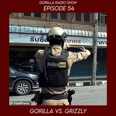 Episode 54 - Gorilla vs. Grizzly