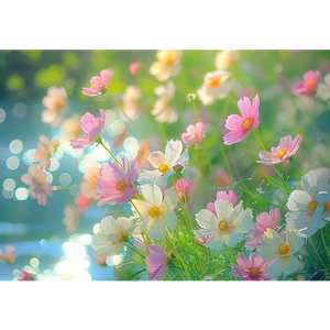 Gods garden 🪴 of Love 💗