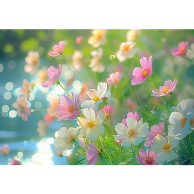 Gods garden 🪴 of Love 💗