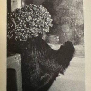 Episode 76 - Austin the Talking Ape