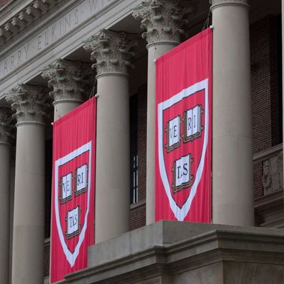 What's behind Trump's crackdown on universities — and why it matters