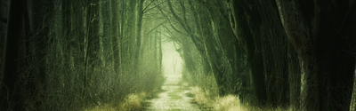 Basecamp for Men E190: Finding Path and Purpose