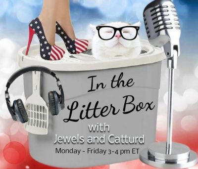 Special Master - In the Litter Box w/ Jewels & Catturd 9/6/2022 - Ep. 161