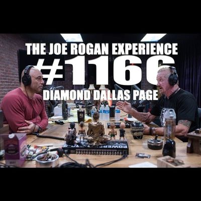#1166 - Diamond Dallas Page
