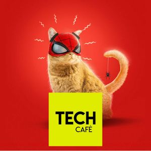 Politiques Google, Oracle, Twitter & Facebook