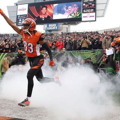 55: Locked on Bengals - 12/13/16 I can't help but look at this season and ask "What if?"