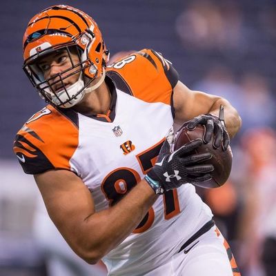 187: Locked on Bengals - 8/3/17 Sometimes training camp fights can be beneficial