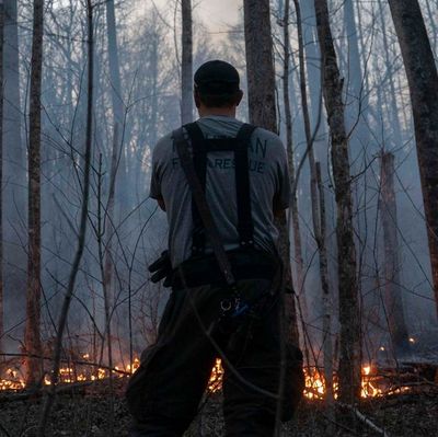 The Southeastern U.S. faces a future with more wildfires